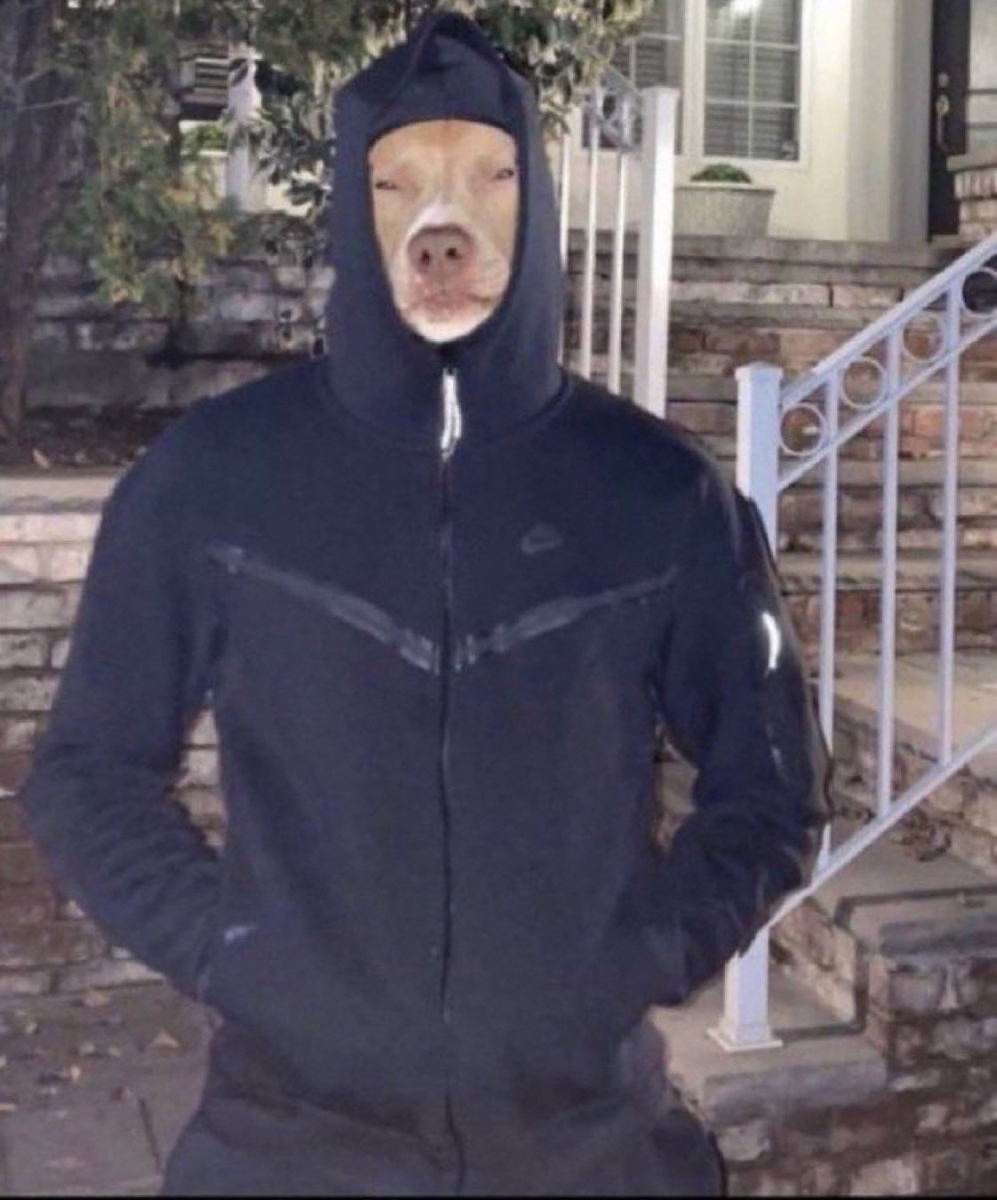 JayTheSensei_